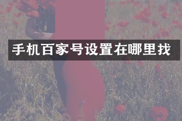手机百家号设置在哪里找