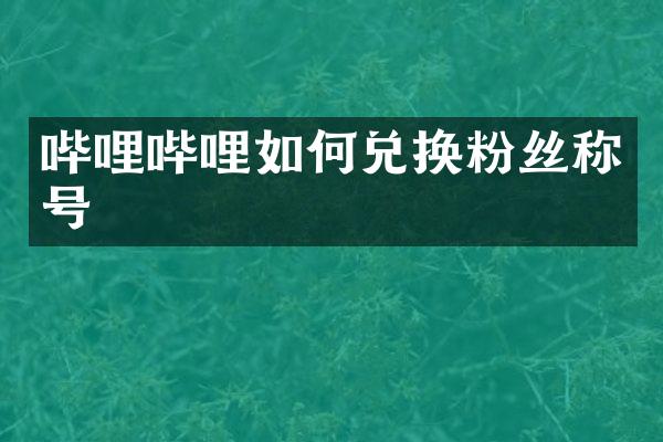 哔哩哔哩如何兑换粉丝称号