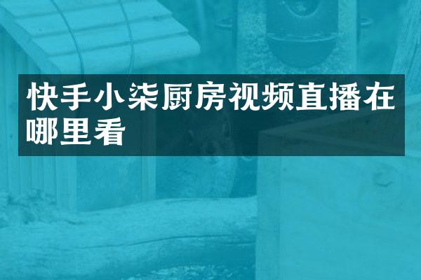 快手小柒厨房视频直播在哪里看