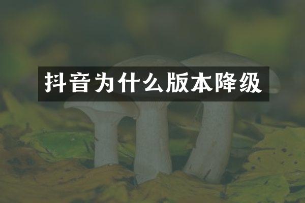 抖音为什么版本降级