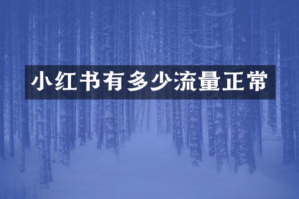 小红书有多少流量正常