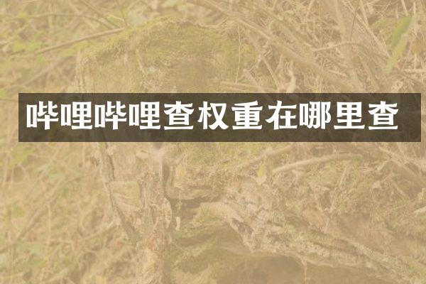 哔哩哔哩查权重在哪里查