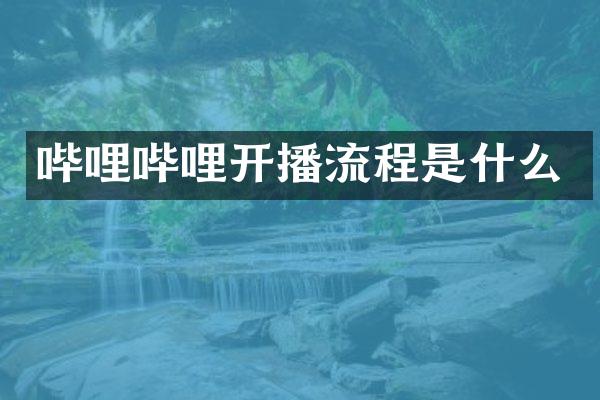 哔哩哔哩开播流程是什么
