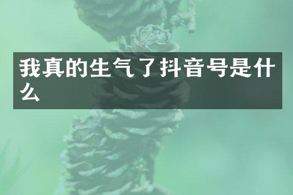 我真的生气了抖音号是什么