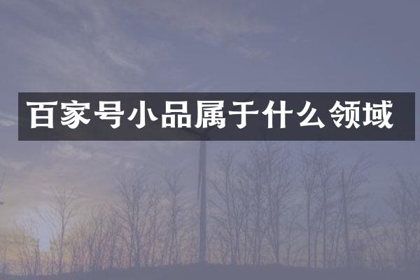 百家号小品属于什么领域