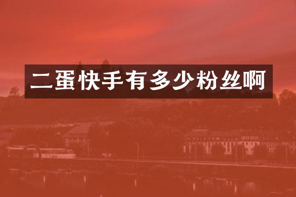 二蛋快手有多少粉丝啊