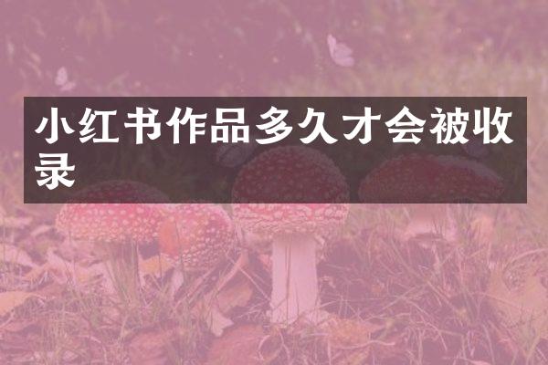 小红书作品多久才会被收录