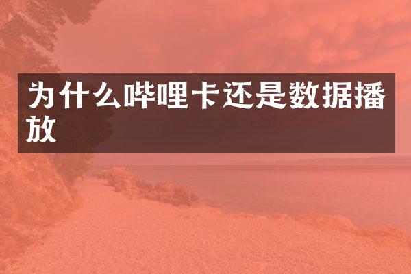 为什么哔哩卡还是数据播放
