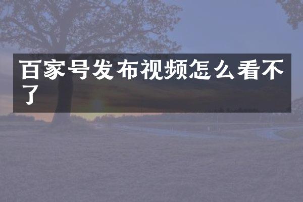 百家号发布视频怎么看不了