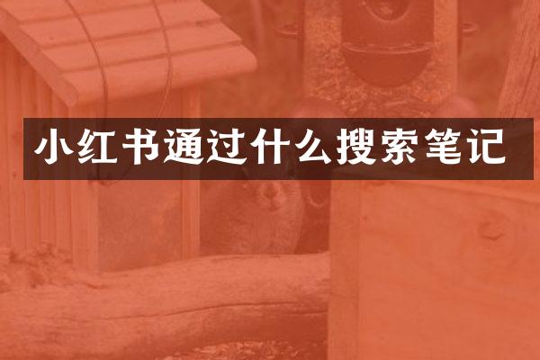 小红书通过什么搜索笔记