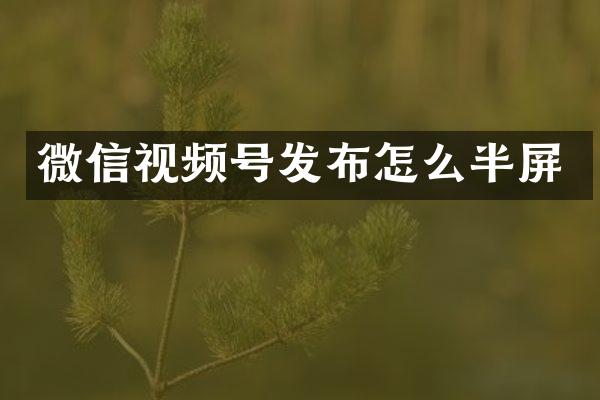 微信视频号发布怎么半屏