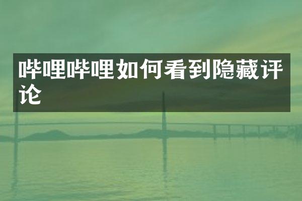 哔哩哔哩如何看到隐藏评论