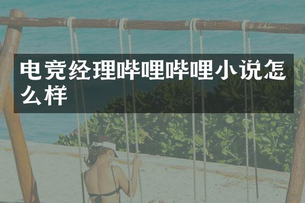 电竞经理哔哩哔哩小说怎么样