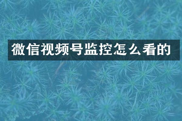 微信视频号监控怎么看的