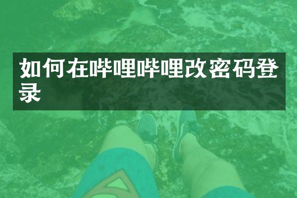 如何在哔哩哔哩改密码登录