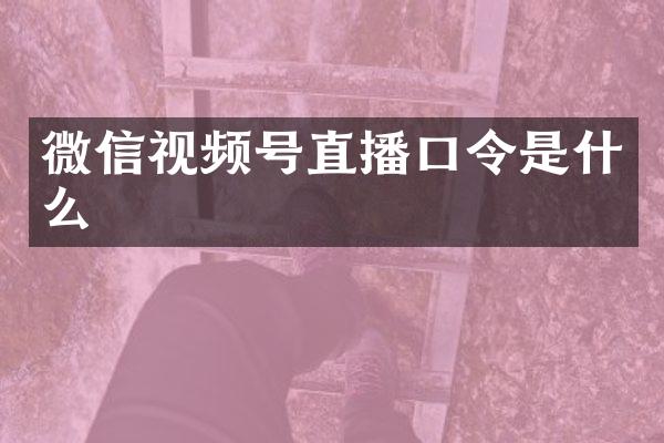 微信视频号直播口令是什么