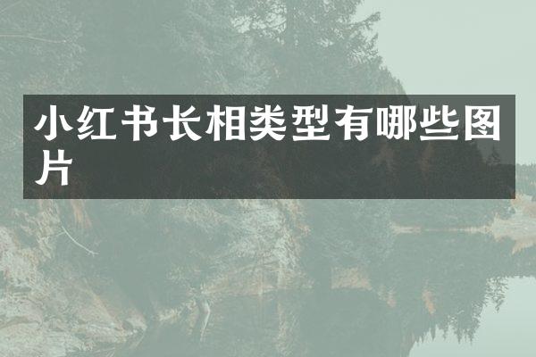 小红书长相类型有哪些图片