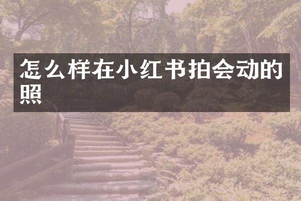 怎么样在小红书拍会动的照