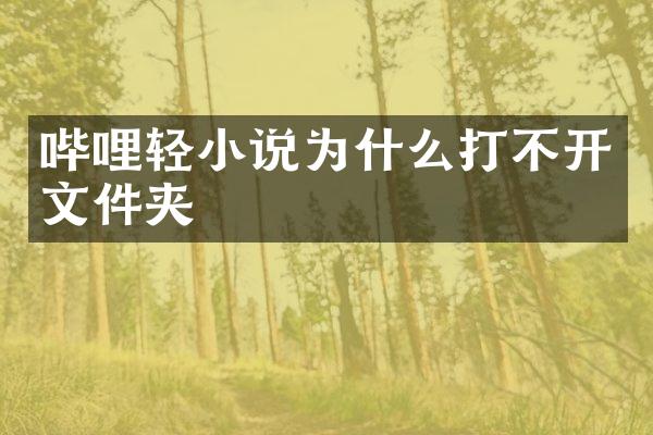 哔哩轻小说为什么打不开文件夹