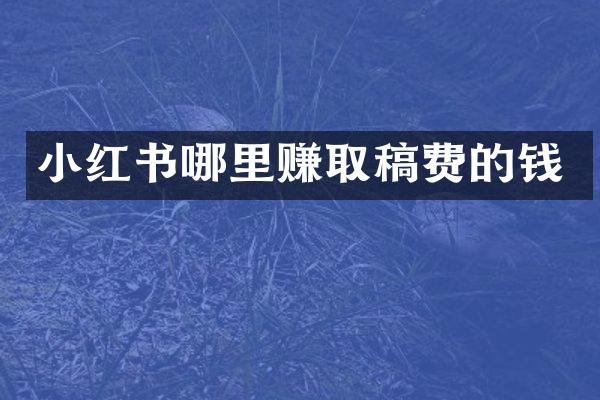 小红书哪里赚取稿费的钱