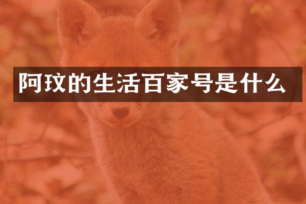 阿玟的生活百家号是什么