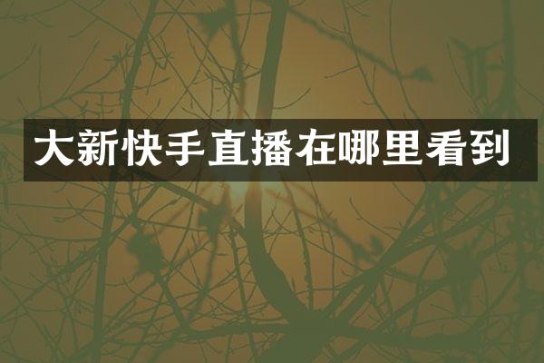 大新快手直播在哪里看到
