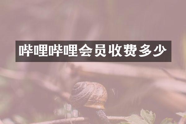 哔哩哔哩会员收费多少