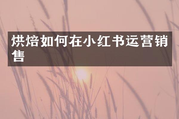 烘焙如何在小红书运营销售