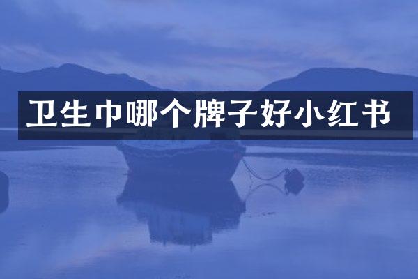 卫生巾哪个牌子好小红书