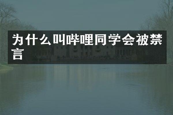 为什么叫哔哩同学会被禁言