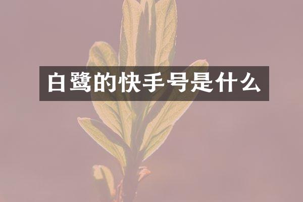 白鹭的快手号是什么