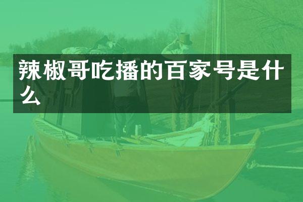 辣椒哥吃播的百家号是什么