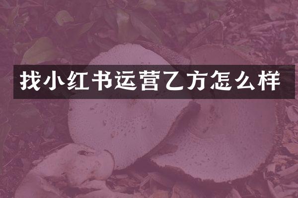 找小红书运营乙方怎么样