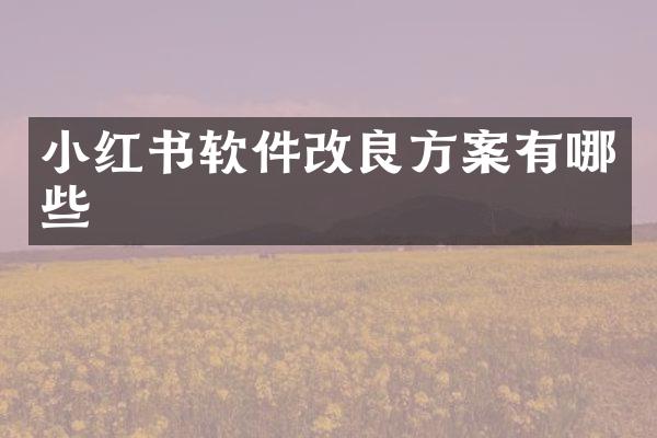 小红书软件改良方案有哪些