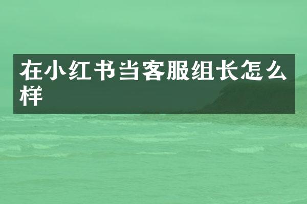 在小红书当客服组长怎么样
