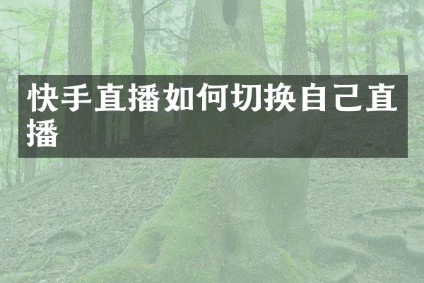 快手直播如何切换自己直播