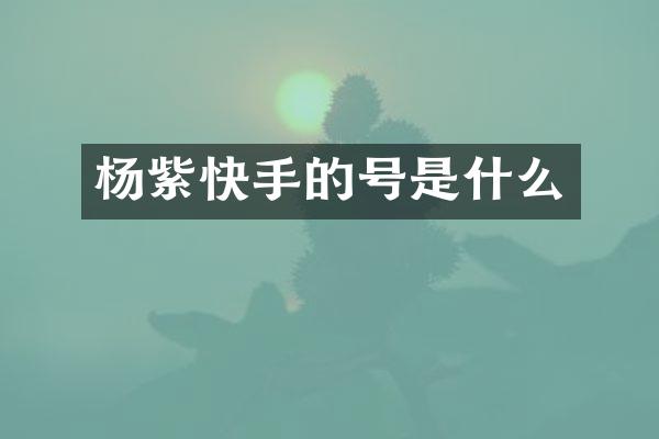 杨紫快手的号是什么