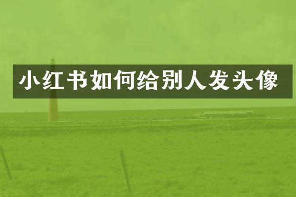 小红书如何给别人发头像