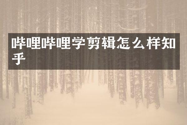 哔哩哔哩学剪辑怎么样知乎