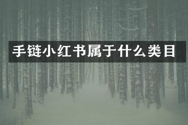 手链小红书属于什么类目