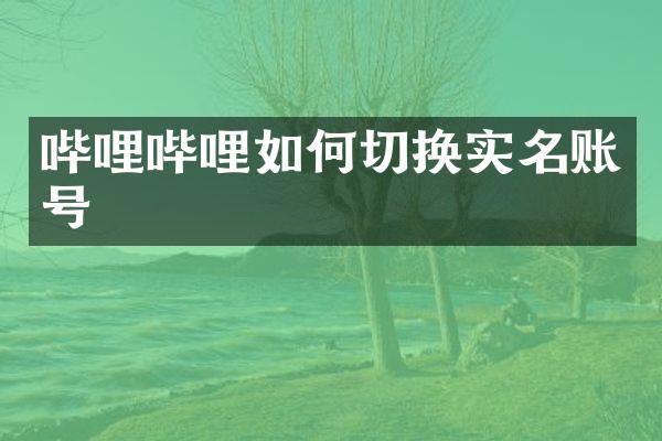 哔哩哔哩如何切换实名账号