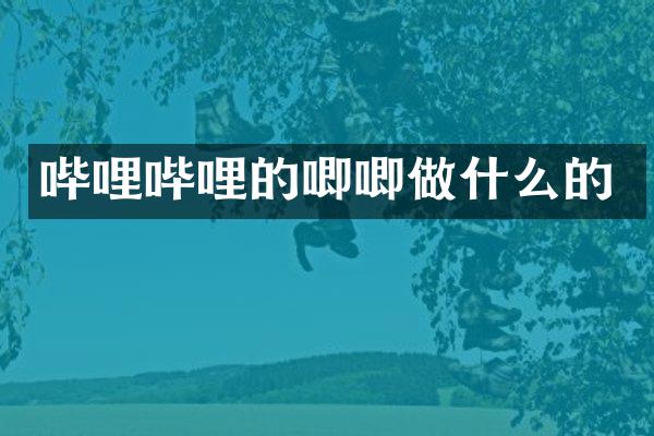 哔哩哔哩的唧唧做什么的