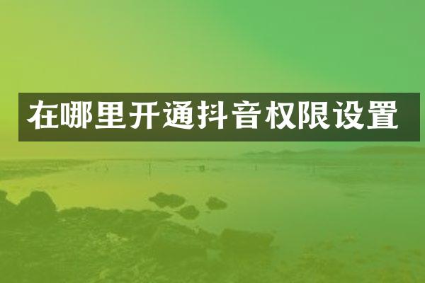 在哪里开通抖音权限设置