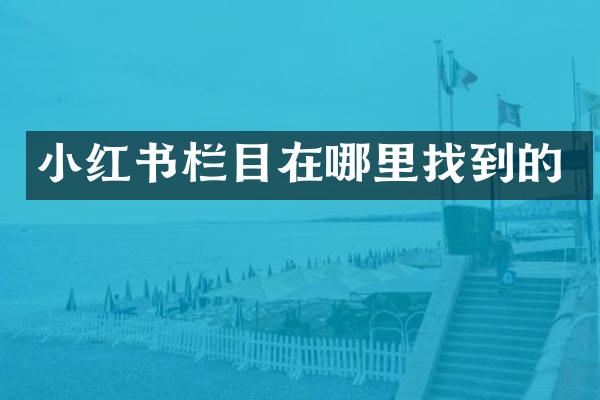 小红书栏目在哪里找到的