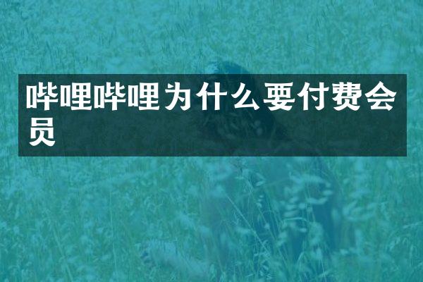 哔哩哔哩为什么要付费会员