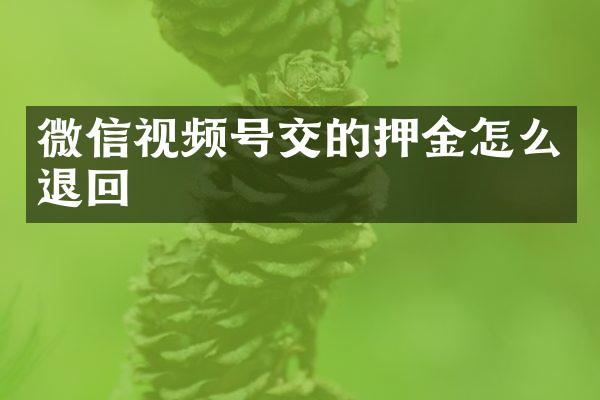 微信视频号交的押金怎么退回