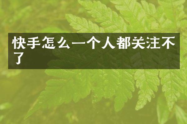 快手怎么一个人都关注不了