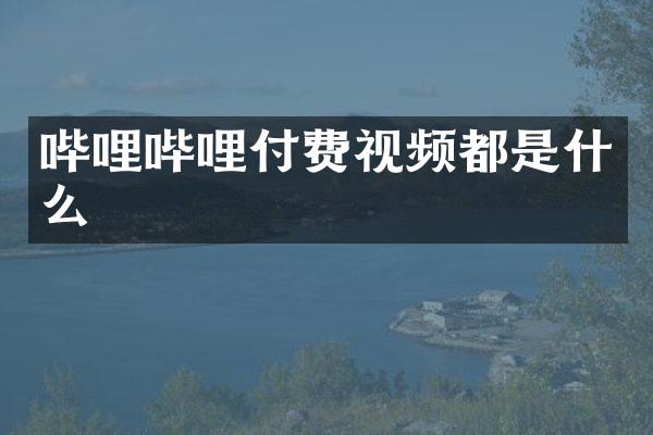 哔哩哔哩付费视频都是什么