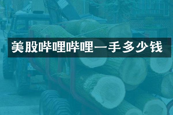 美股哔哩哔哩一手多少钱