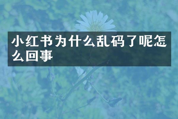 小红书为什么乱码了呢怎么回事